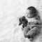 Newborn with Bear Photography Tallahassee